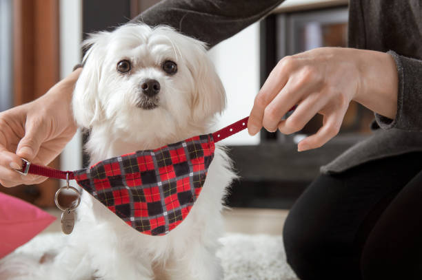 The Mystery Behind -dnoga1b2c3d4-: What Does It Mean and Why Is It Trending?